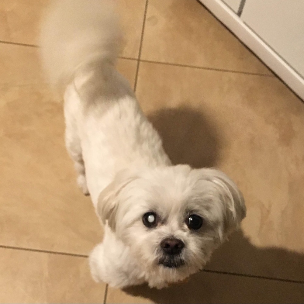 Meet your Posher, Sue